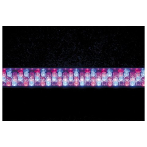 SHOWTEC - LED Light Bar 8 SHOWTEC - LED Light Bar 8