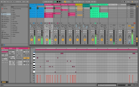 ABLETON Live 10 Standard EDU (Box) - autoryzowany dealer Ableton